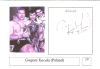 238.gif (248406 bytes)