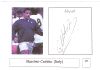 253.gif (128905 bytes)
