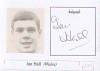 399.gif (148096 bytes)
