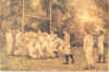 54.jpg (13606 bytes)