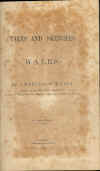 78.jpg (272116 bytes)