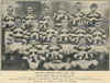98-1904-auckland.jpg (255020 bytes)