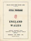 88.jpg (43185 bytes)