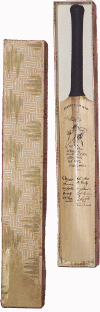 84.gif (138331 bytes)