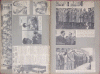 85.gif (417852 bytes)