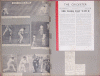 86.gif (363466 bytes)