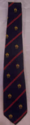 100_3349.JPG (198742 bytes)