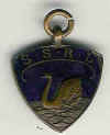 med-1-f.jpg (20973 bytes)