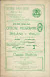 99b.jpg (426850 bytes)