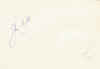 162.jpg (222585 bytes)