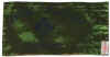 60.jpg (43611 bytes)