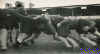 94-scrum.jpg (73438 bytes)