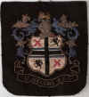 77-st-helens-blazer-badge2.jpg (65758 bytes)