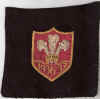79-wales-blazer-badge.jpg (87272 bytes)