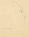 98.jpg (32305 bytes)
