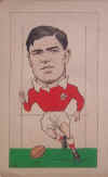 Haydn-Wales-Player.jpg (54165 bytes)